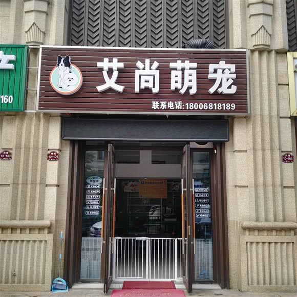 艾尚萌宠:杭州市西湖区高新文教区附近