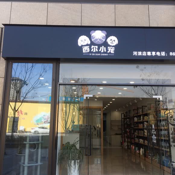 德尔小宠:杭州市西湖区高新文教区附近