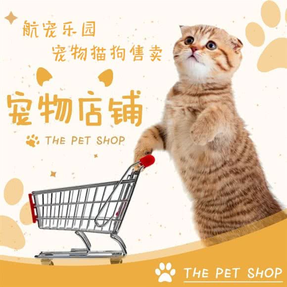 航宠乐园·宠物猫狗售卖:杭州市西湖区高新文教区附近