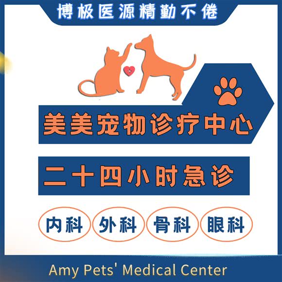美美宠物诊疗服务中心:杭州市西湖区高新文教区附近