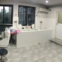 奥斯卡宠物(西溪店):杭州市西湖区西溪附近