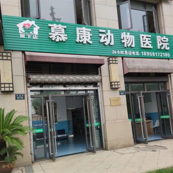 慕康宠物医院:杭州市西湖区西溪附近