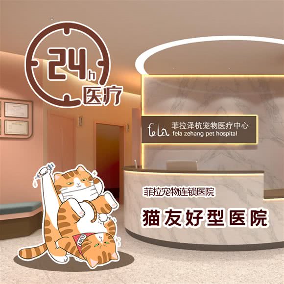 菲拉泽杭宠物医疗中心·24小时:杭州市西湖区三墩镇附近