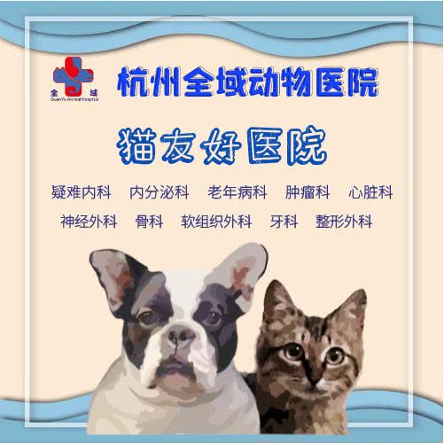 杭州全域动物医院:杭州市西湖区浙大紫金港附近