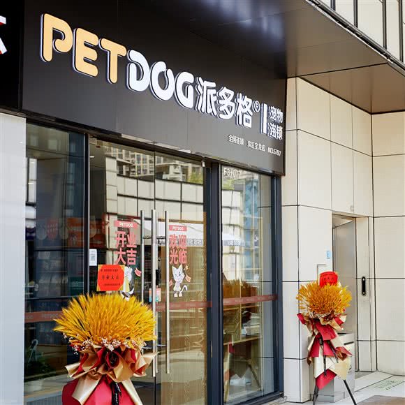派多格宠物(滨江宝龙店):杭州市滨江区滨江宝龙城市广场附近