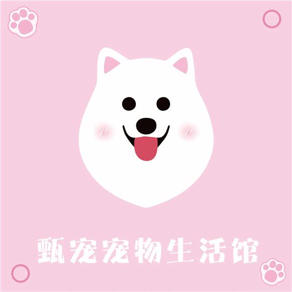 甄宠宠物工作室(滨江天街店):杭州市滨江区龙湖滨江天街附近