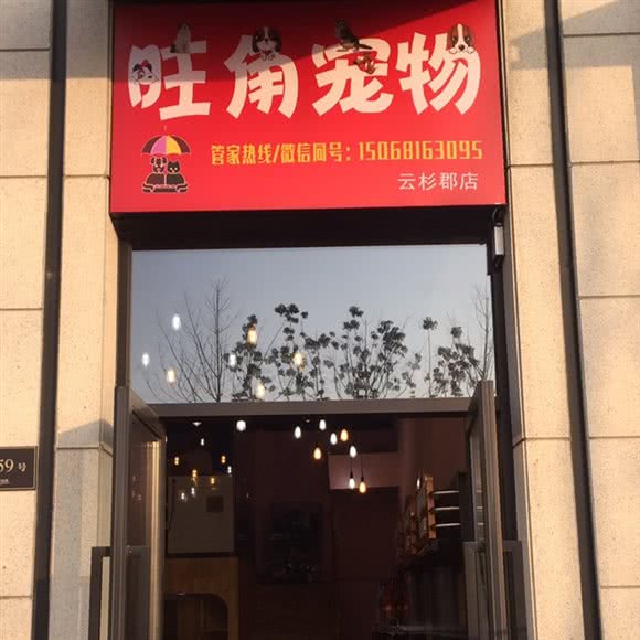 旺角宠物猫狗分离(云杉郡店):杭州市滨江区开发区/高教园附近
