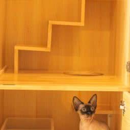 久咪猫酒店:杭州市滨江区开发区/高教园附近