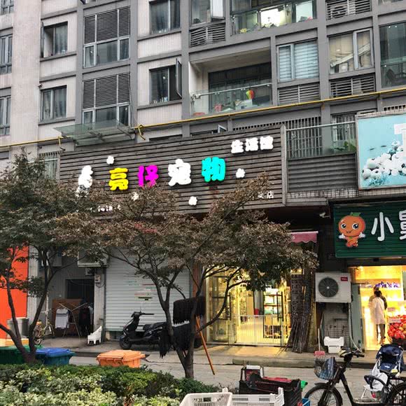 亮仔宠物生活馆(通策店):杭州市滨江区开发区/高教园附近