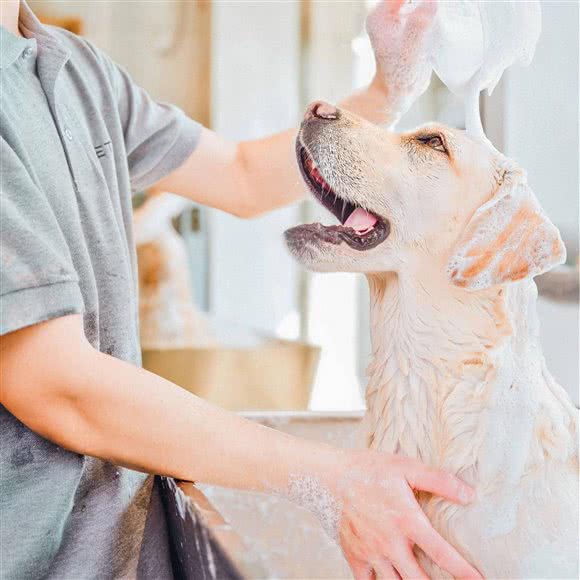 PETKIT 小佩宠物(燕语林森店):杭州市滨江区开发区/高教园附近