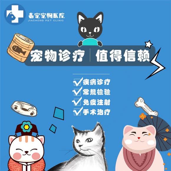 嘉宠宠物医院:杭州市滨江区开发区/高教园附近