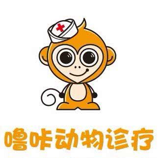 噜咔宠物医院:杭州市滨江区开发区/高教园附近