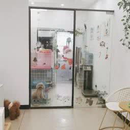 柠檬宠物:杭州市萧山区北干附近