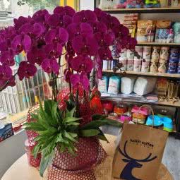 爱宠屋:杭州市萧山区北干附近