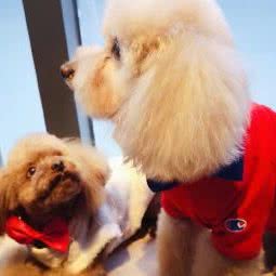 旺之宅:北京城区顺义区小汤山/央美博艺艺术馆附近