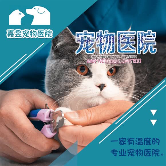 嘉昱宠物医院(博奥店):杭州市萧山区北干附近