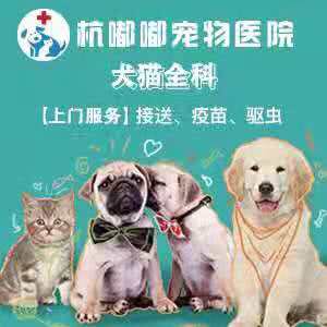 杭嘟嘟宠物医院:杭州市萧山区北干附近