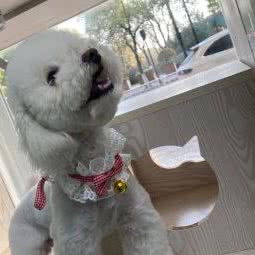 凡宝宠物(高桥店):杭州市萧山区城厢附近