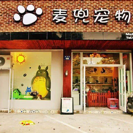 麦兜宠物:杭州市萧山区城厢附近