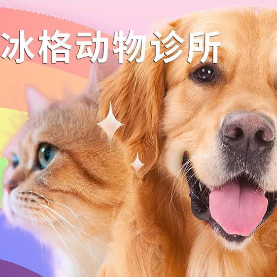 冰格动物诊所:杭州市萧山区闻堰附近