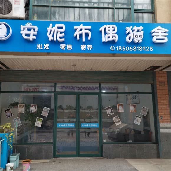 安妮布偶猫舍:杭州市萧山区瓜沥镇附近