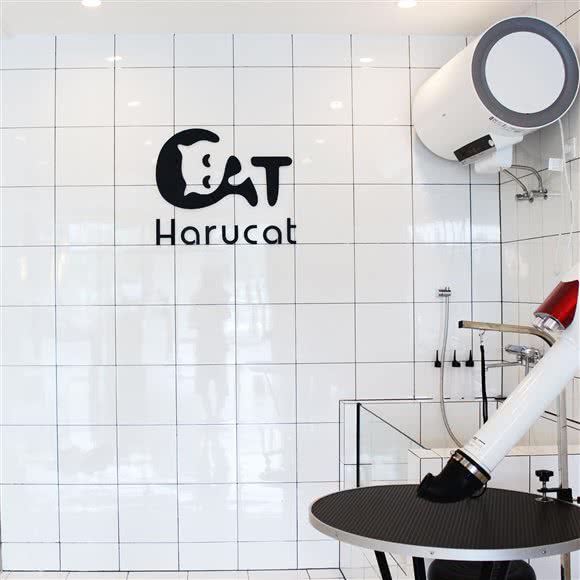 Harucat哈鲁猫咪宠物生活馆(萧山店):杭州市萧山区钱江世纪城附近