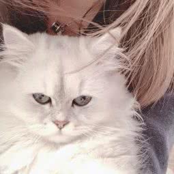 徕卡宠物生活馆(杭州萧山店):杭州市萧山区钱江世纪城附近