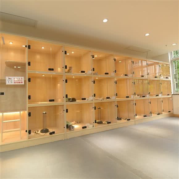 Nick布偶猫·曼基康矮脚猫舍:杭州市萧山区钱江世纪城附近