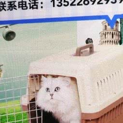 宠物箱专卖店(首都机场店):北京城区顺义区首都机场T3航站楼附近