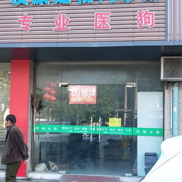 友康宠物门诊部:杭州市萧山区临浦附近