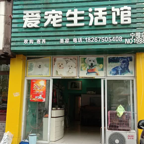 爱宠生活馆专卖店:杭州市萧山区通惠路沿线附近