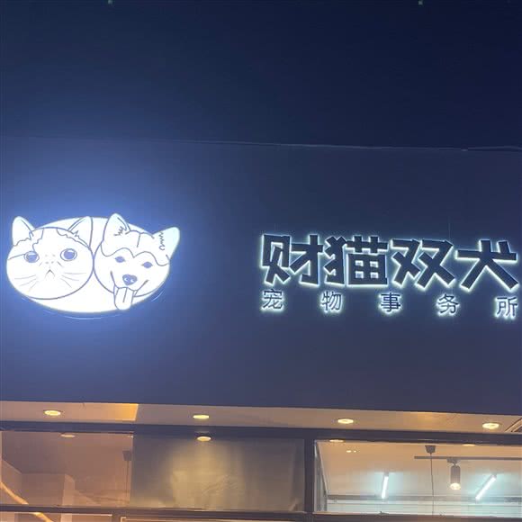 财猫双犬宠物事务所:杭州市萧山区加州阳光附近