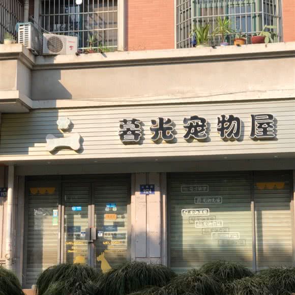 暮光宠物屋:杭州市萧山区加州阳光附近