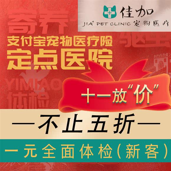 佳加宠物医院:杭州市萧山区奥体中心附近