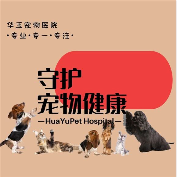 杭州华玉宠物医院:杭州市萧山区宝龙城市广场附近