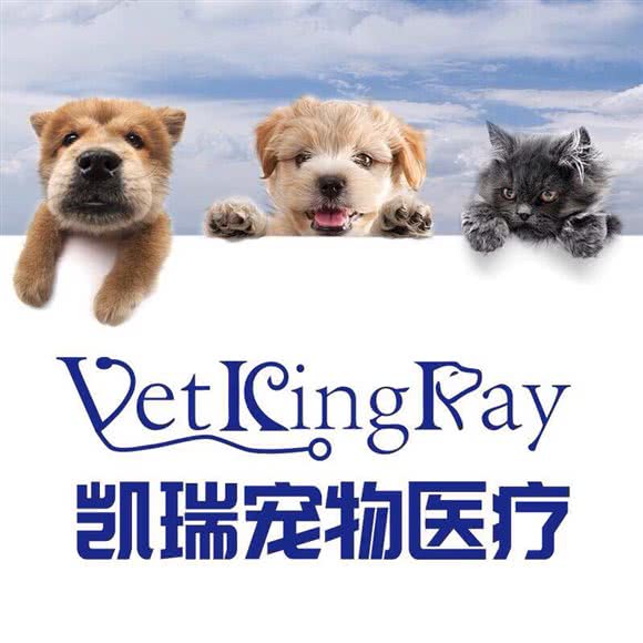 凯瑞宠物诊所:杭州市萧山区恒隆广场附近