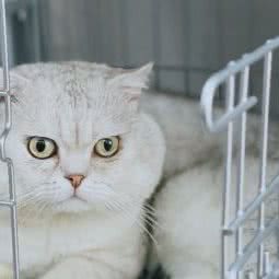 花花咖啡店:杭州市余杭区西田城购物中心附近