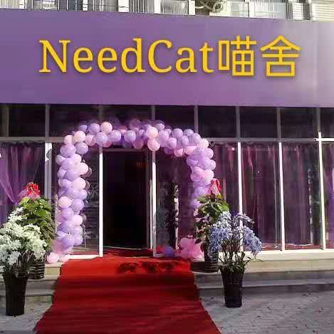 NeedCat喵舍:杭州市余杭区永旺梦乐城附近