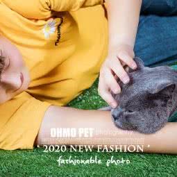 ohmo宠物摄影:杭州市余杭区海创园附近