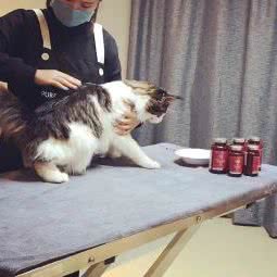 Purr Cat Visual 璞尓猫工作室:杭州市余杭区海创园附近