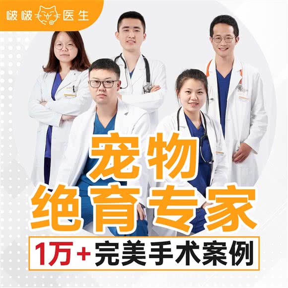 啵啵医生猫专科宠物医院(海创园分院):杭州市余杭区海创园附近