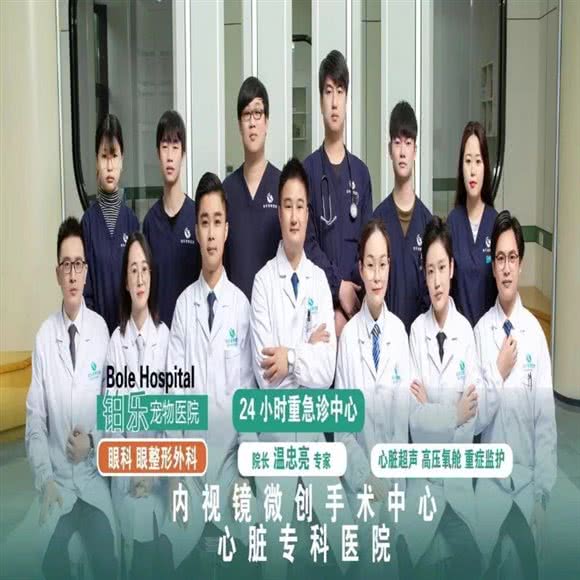 铂乐宠物医院24小时·骨科 眼科 外科中心:杭州市余杭区海创园附近