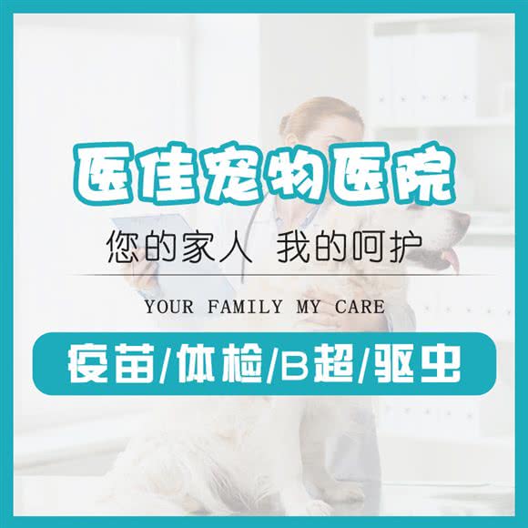 医佳宠物医院·猫骨科(仓前店):杭州市余杭区海创园附近