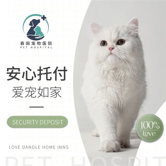 春田宠物医院?内科中心(良渚院):杭州市余杭区良渚附近