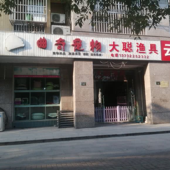 曲奇宠物:杭州市余杭区仁和园区附近