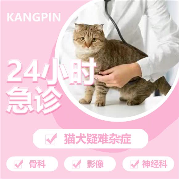 康平宠物医院(兴达路店):杭州市富阳区富春街道附近