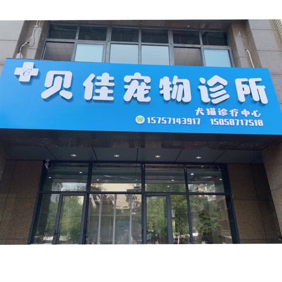 贝佳宠物狗诊所:杭州市富阳区富春街道附近