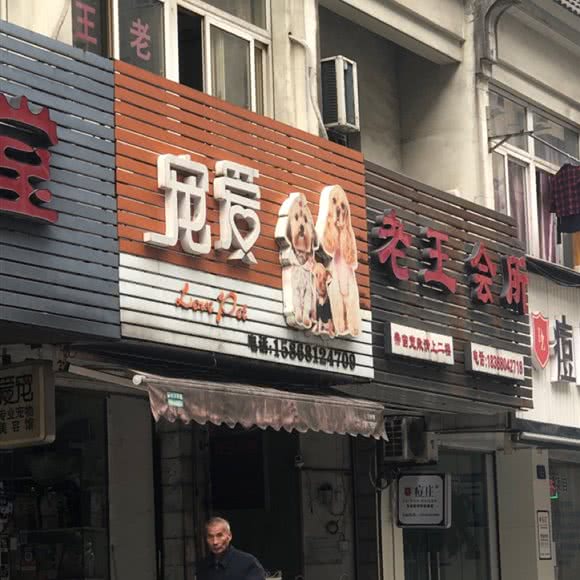 宠爱:杭州市临安区锦城街道附近