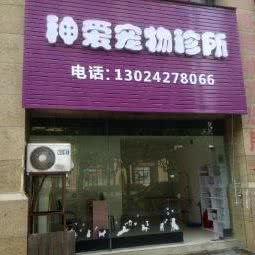 神爱宠物诊所:杭州市临安区锦城街道附近