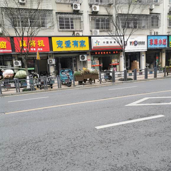 宠爱有家:杭州市临安区锦南街道附近